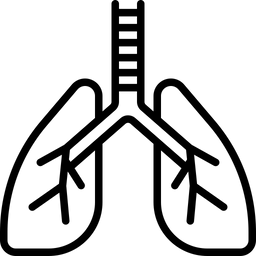 Rééducation respiratoire
